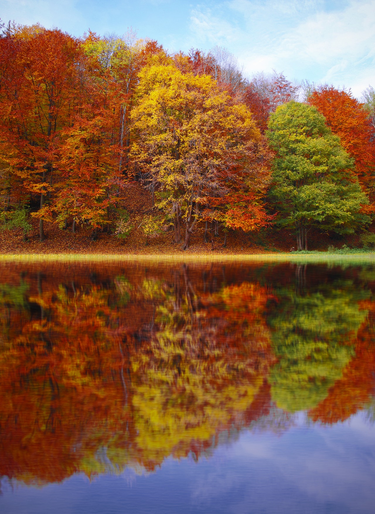 autumn reflection