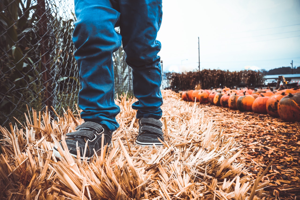 children hay pumpkin patch