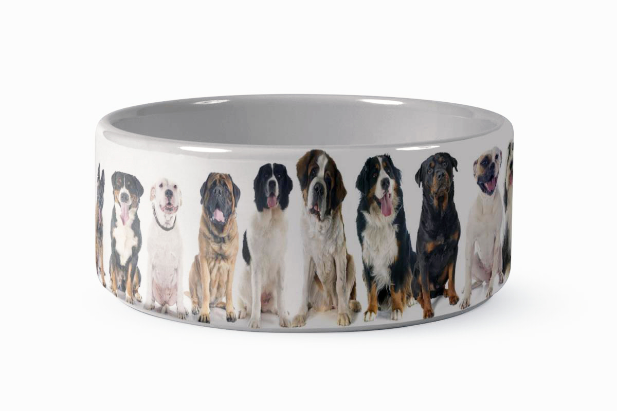 Custom Photo Gift Ideas for Your Pet 1