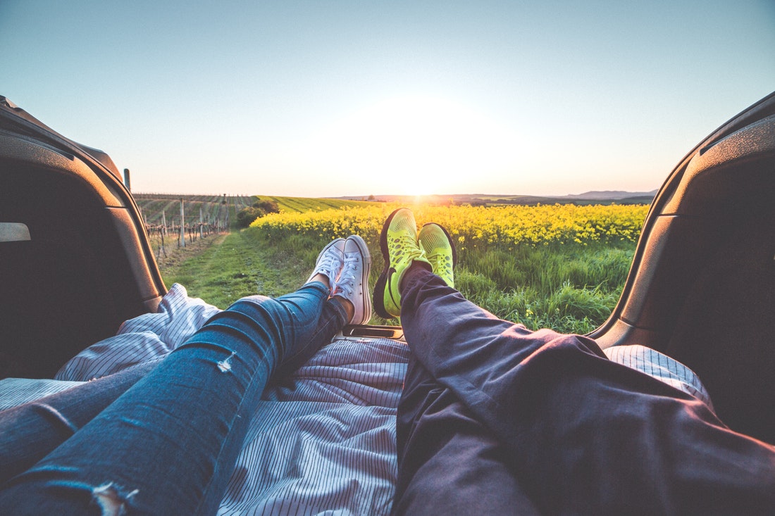 flower fields relaxing