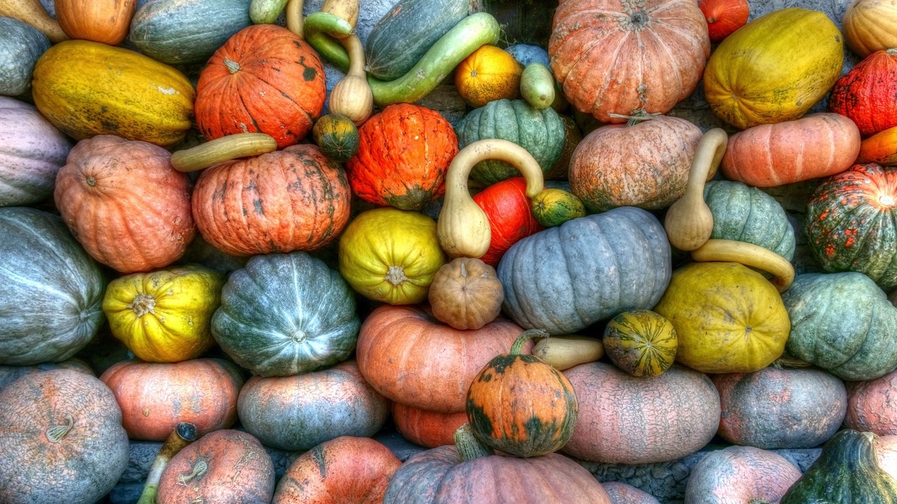 small pumpkins