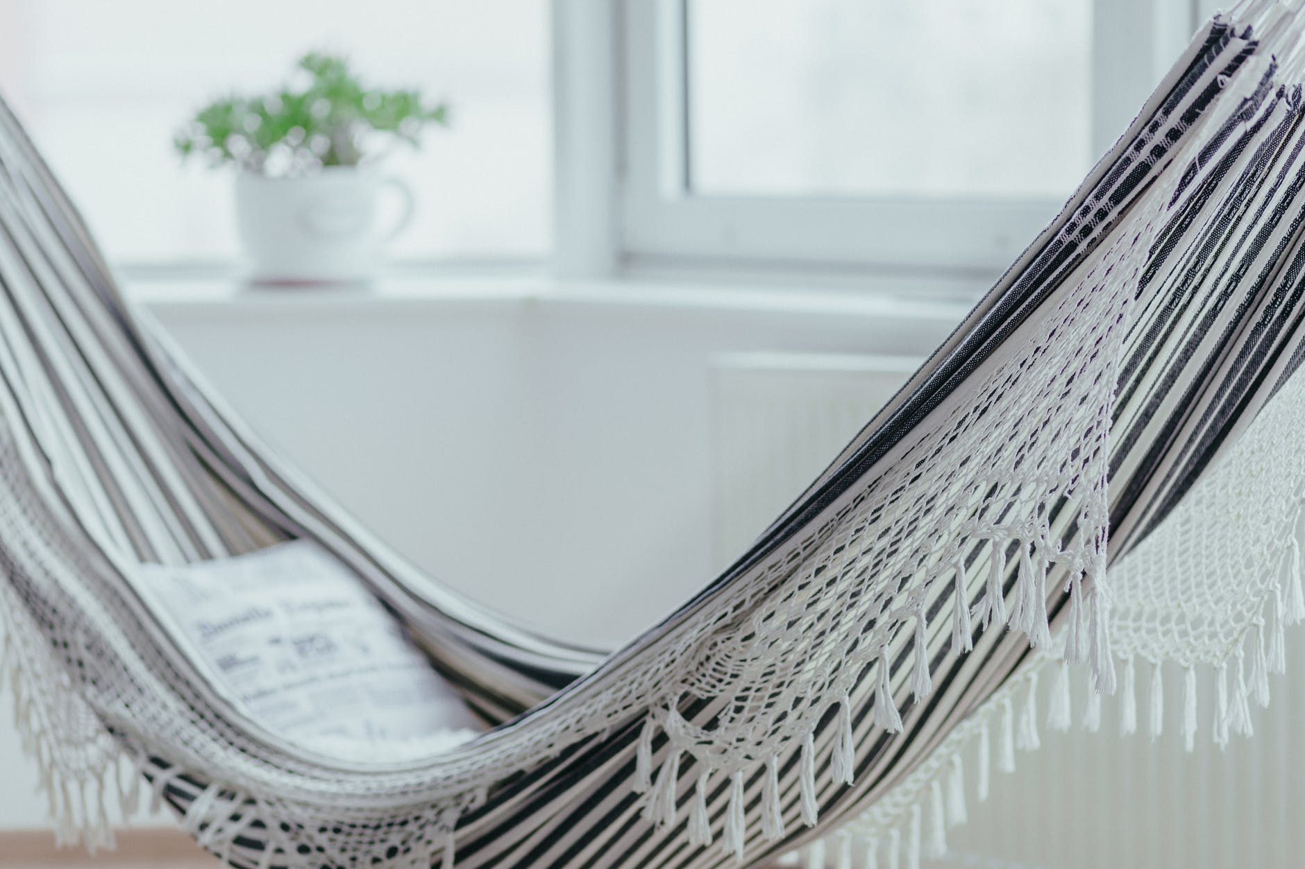 sunroom hammock