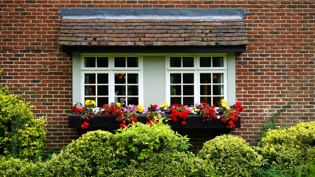 window flowers