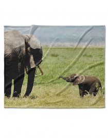 baby elephant custom photo blanket