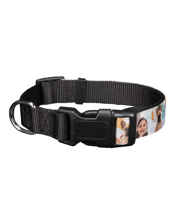 personalized photo pet collar large