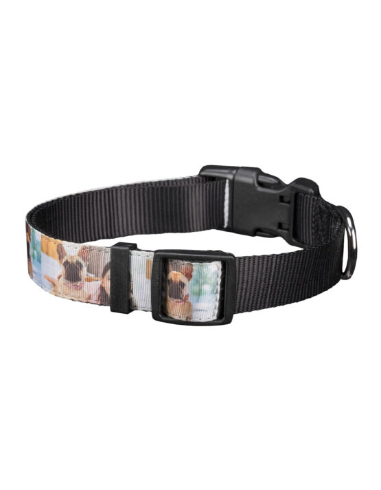 personalized photo pet collar large