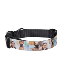 personalized photo pet collar large