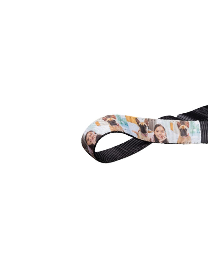 personalized photo pet collar large