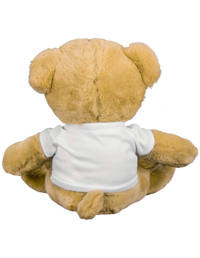 Premium Teddy Bear with Photo T-Shirt