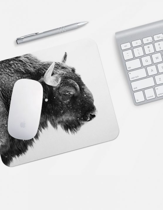 Photo Mouse Pads